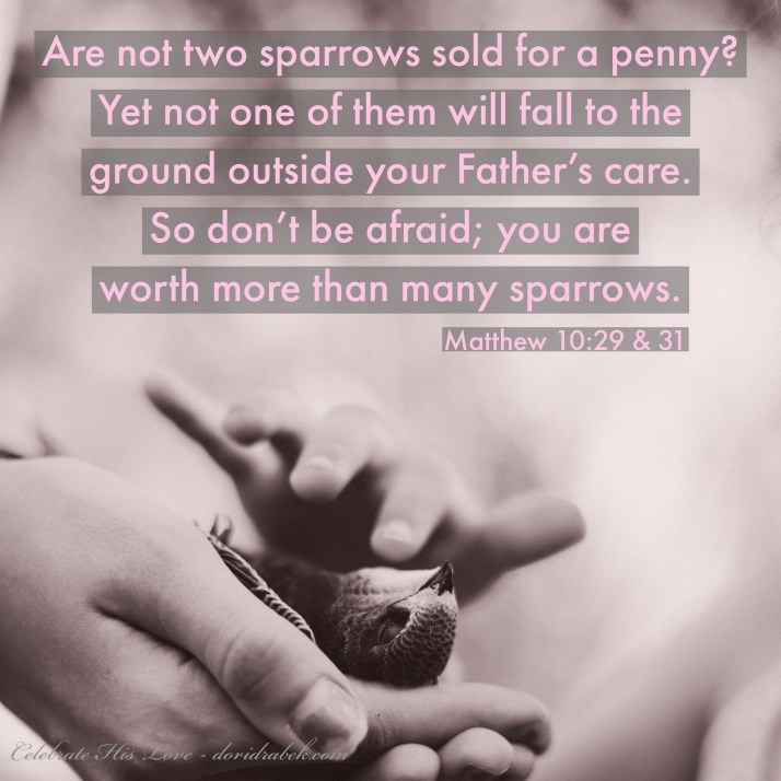 D24C9472-576C-4A1B-8FBA-0B9F7B33BAAF