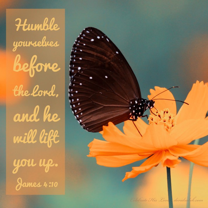 432B6B07-975B-443C-84AE-04656CA3255C