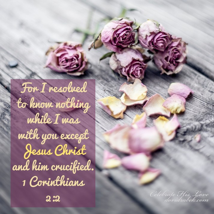 5F16752C-2612-401E-ACE0-006A752C2268