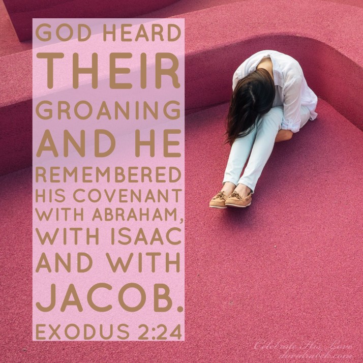 8B057356-1E83-4F8C-810B-E28AF1739A09