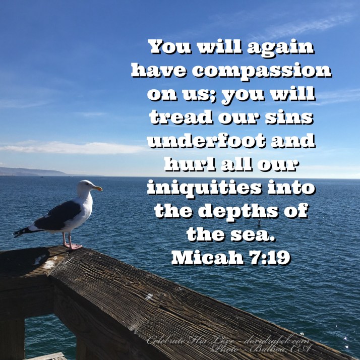 38F05F52-0593-4B72-8A16-A989BD663431