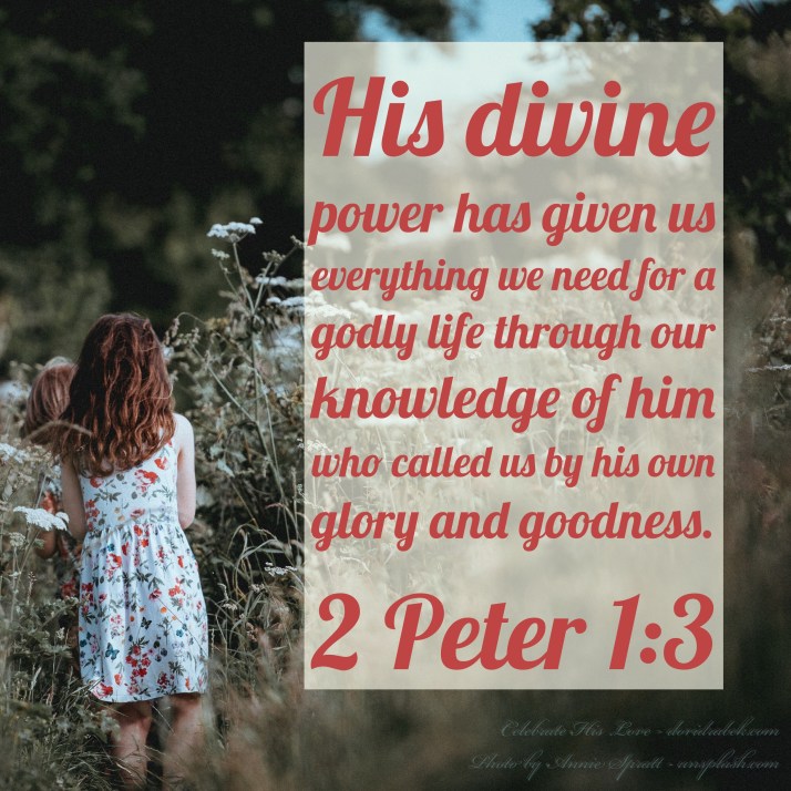 C35A0522-B9DD-4E23-9D26-4240E2D0716F