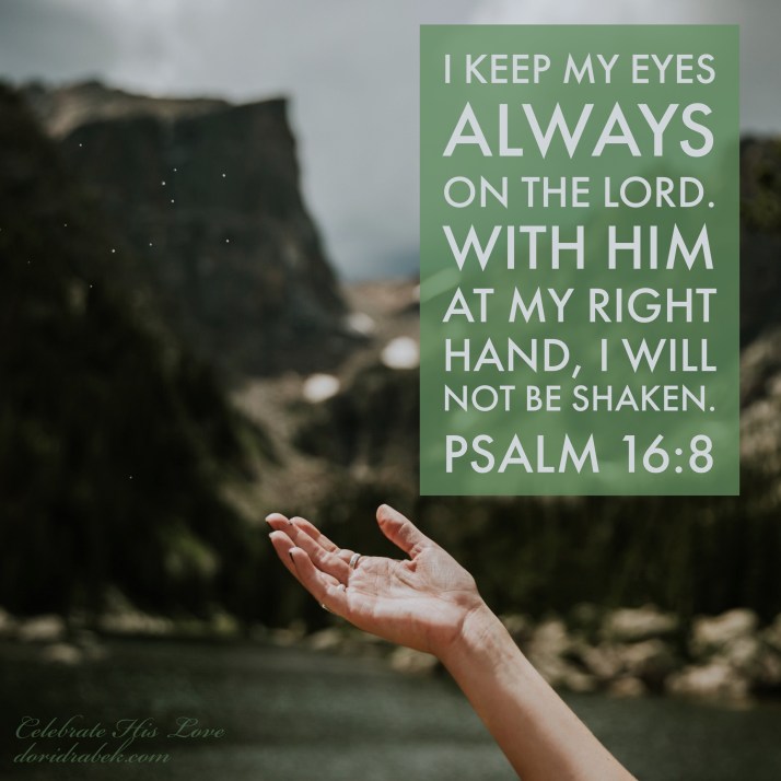 CBDEF686-9028-4A61-BF9D-9430CA7495BC