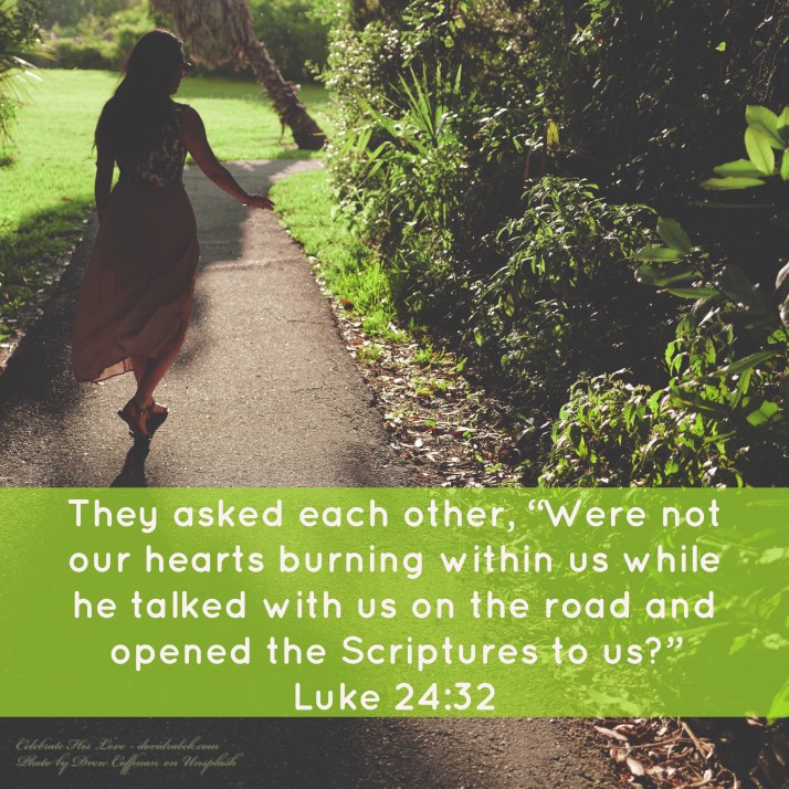 0B525D95-F3B7-4769-97BF-10D18D9F2E8A