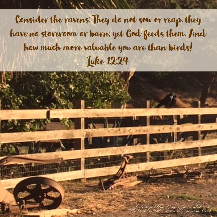 13CC2B5C-3541-4906-B13F-7A8453F2928C