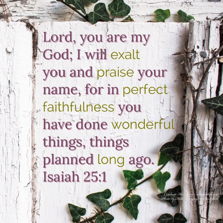 1A2E9EE7-02D7-49A2-95C0-410A5B9C4B3F