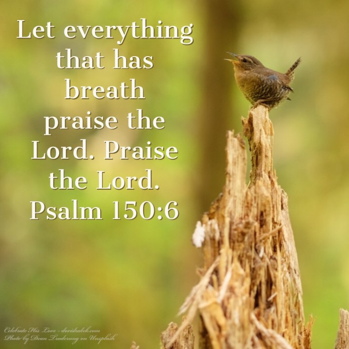 2A269652-C8A6-43AF-B044-5198D1D1223C