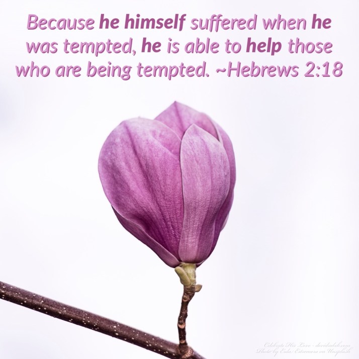 E6CC58C3-B1C0-4F76-B163-6EF4ED8354C5