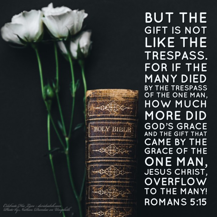 09280043-D1B7-411D-A50B-F4CD3818433D