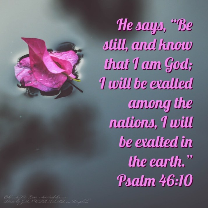 9CE06C92-1BEE-42F6-91E6-5C4802EA4D60