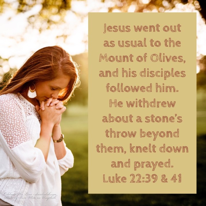 00E4C024-BCB8-4D54-A1E6-2E91554D96B6