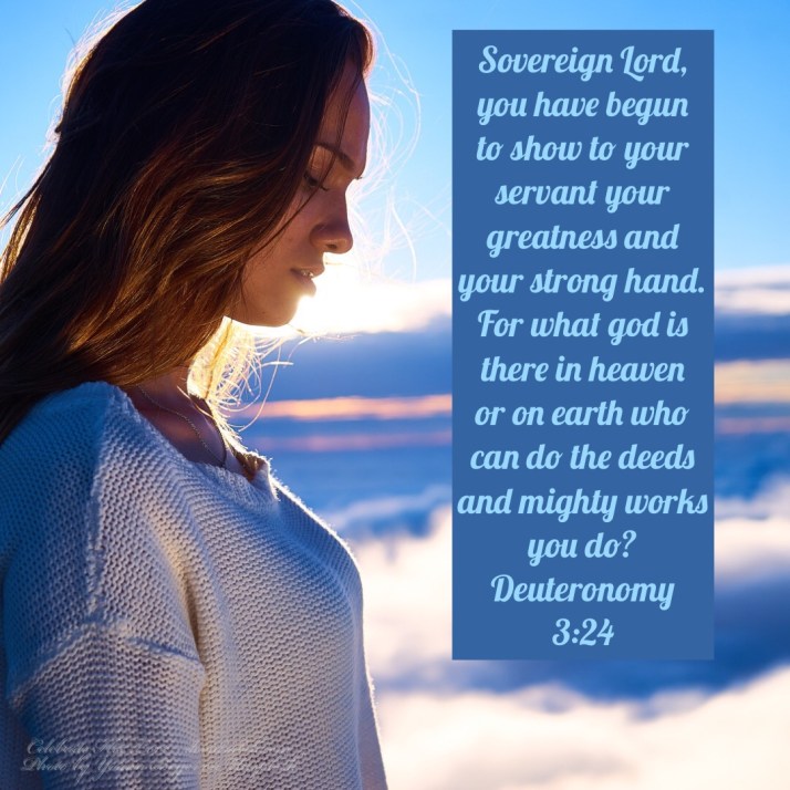 0B80BF2F-B84D-4494-A0A3-80B4B5F9FDB5