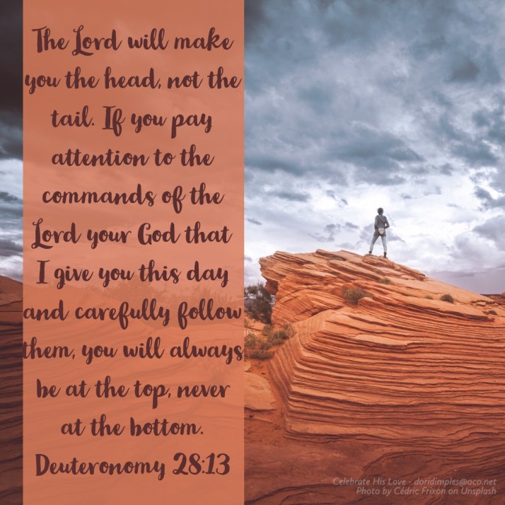 2905C2A7-00E2-4C78-A0B7-8A3C78B22AC5