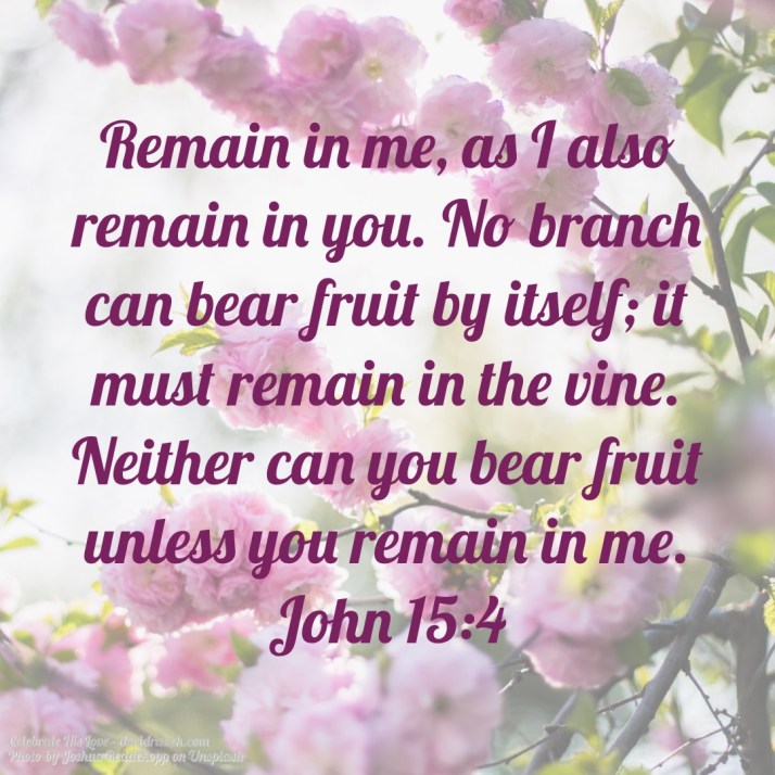 4D261CDB-4A02-414B-BF78-FBA8CBCA08B0