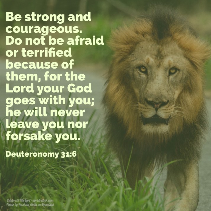 C0262C84-52C6-49E1-96D2-A343B8C2A385