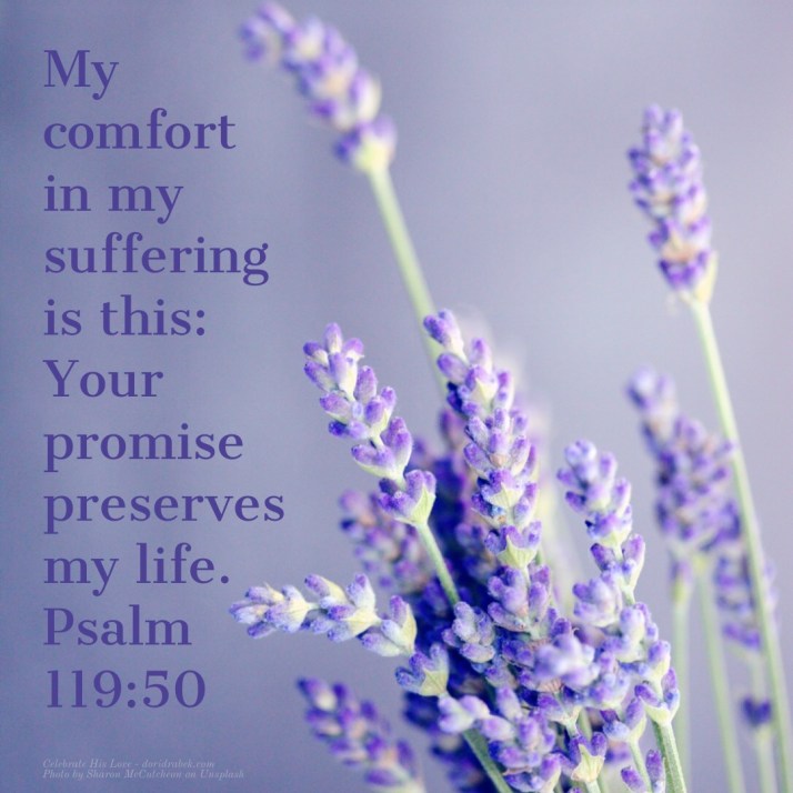 346EB3E0-7150-43A1-8A7B-CCAE46250F55