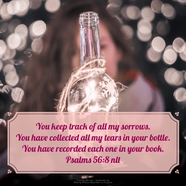 61165A5B-C36D-4191-93E6-982C9512E96B