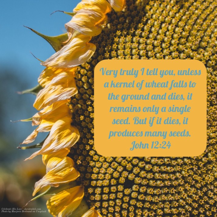 C2029032-FD65-44DE-817D-C4574BE229AC