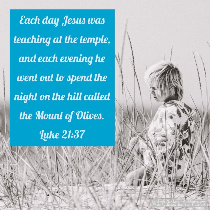 20BB65CF-71CB-4B0F-B3BD-4EAF9343F843