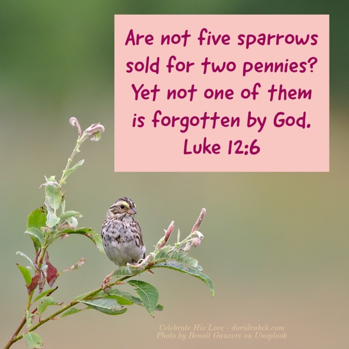 DA9AA373-2B50-47FE-90FC-419809B9E5C1