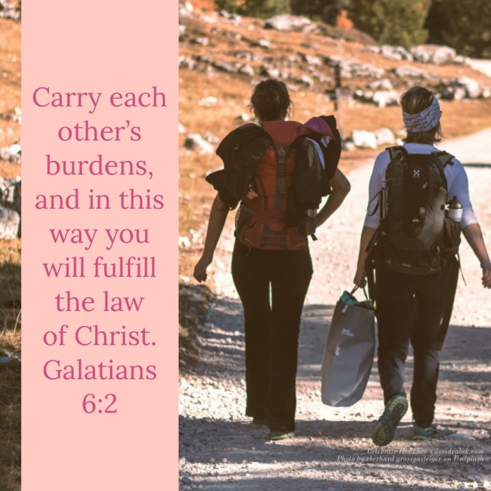 283C7A33-784A-429D-B2DE-0A9ED2608B82