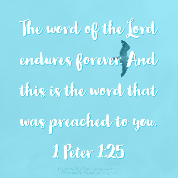 8D481A29-5778-4BCC-8950-6787755E3E3E