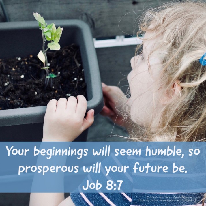 AD456D54-C761-4FD2-B595-32A70413908B