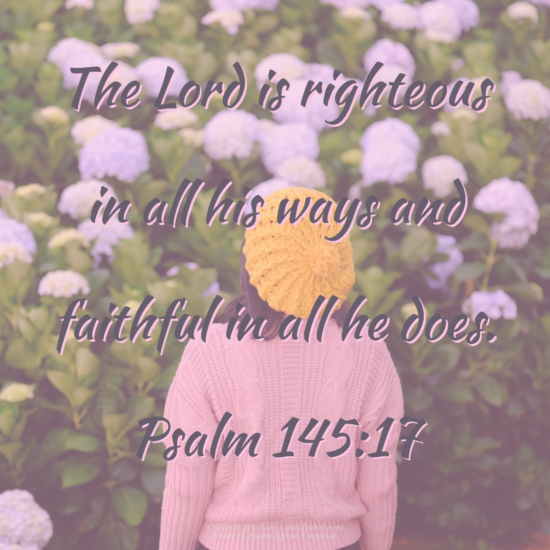 30EFCFB5-3E94-400F-8B77-2A92A6E6476A