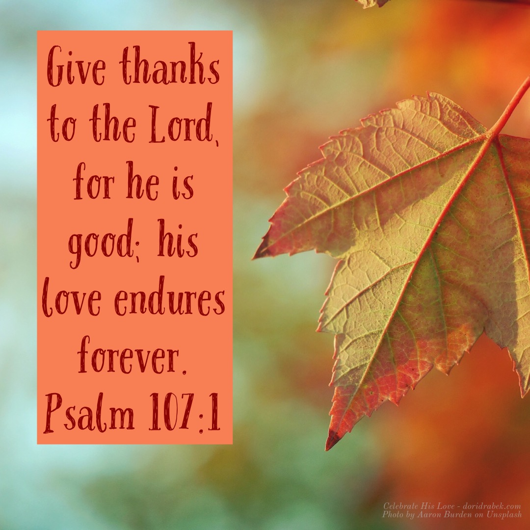 863985C6-4976-41F1-8E0D-FB17B85D4099