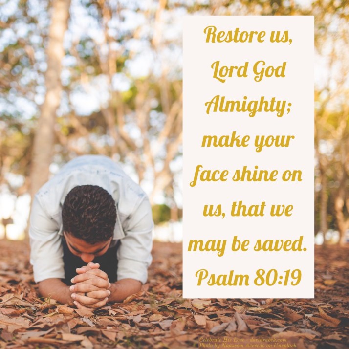 870C66CC-1E04-45E2-89F0-2AB0820DB721