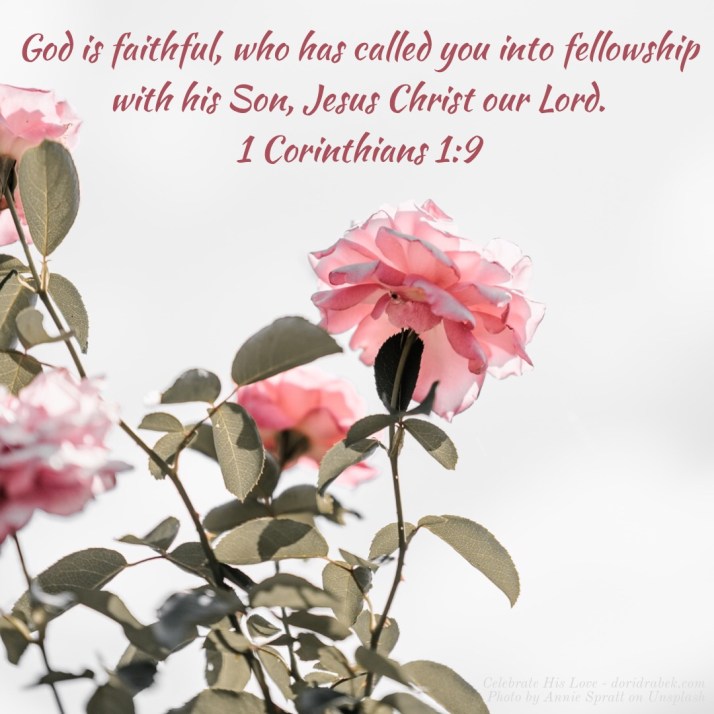 D3348382-1545-4EE6-8810-500F53D7601D