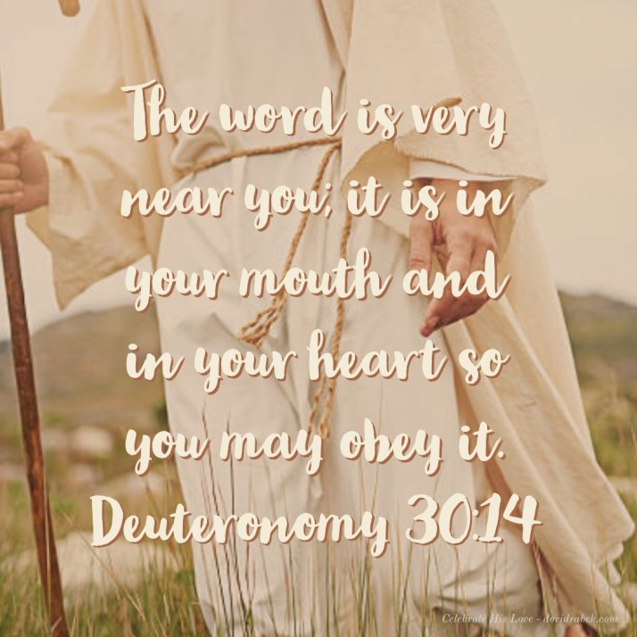 1CFD3A1A-88F3-4D5E-A4A1-A01962CB22B5