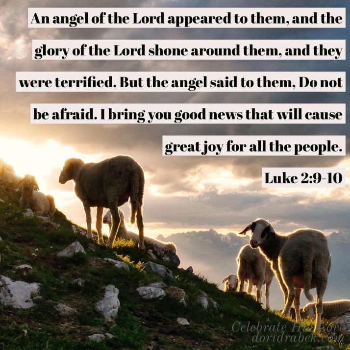 3111636E-77B7-4919-B102-A084F14319FA