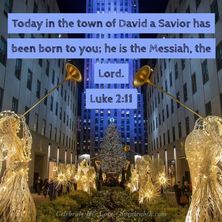 D1BBE992-D7E1-4D19-A5A0-F3958EFC532E