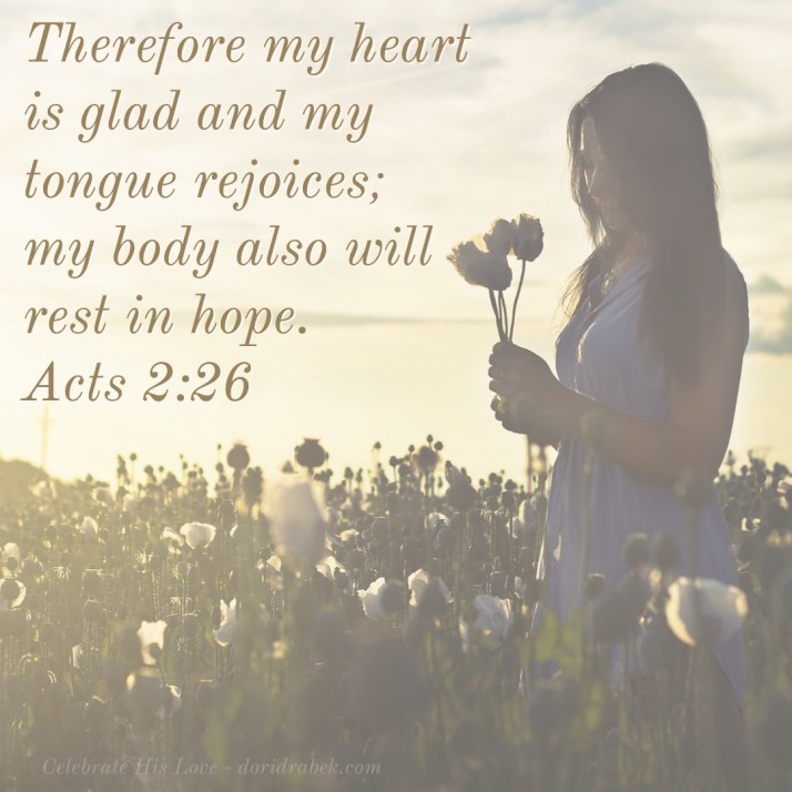 A88F53EC-DF70-45A8-9823-931C8CEA6F3F