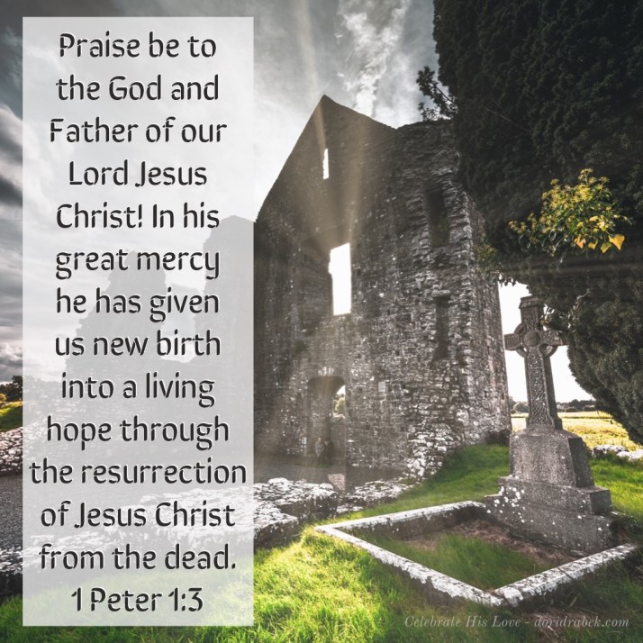 E68FDAA6-DC89-4622-8333-EEA88E084841