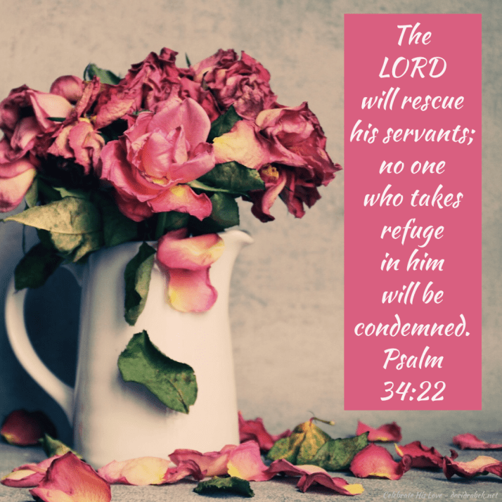 66F23590-924A-4D8C-950D-1CCE12788A59