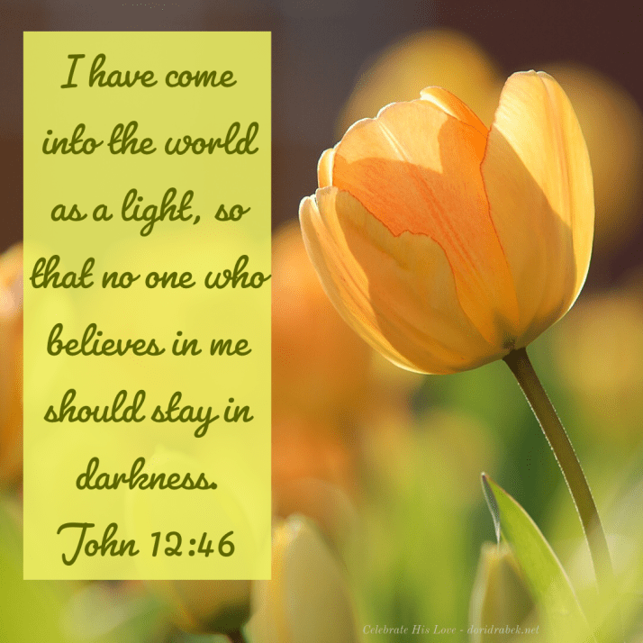 B0570CF3-69B5-4B52-92E1-EB9B2E23A274